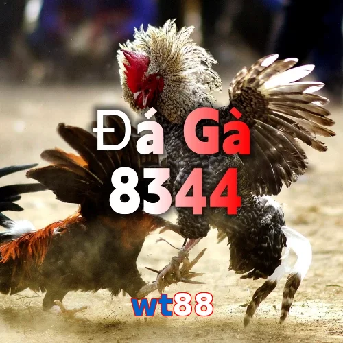wt88