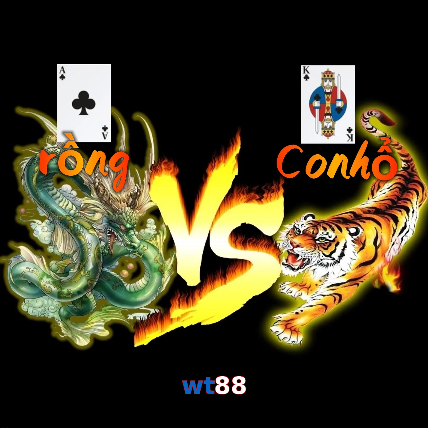 wt88
